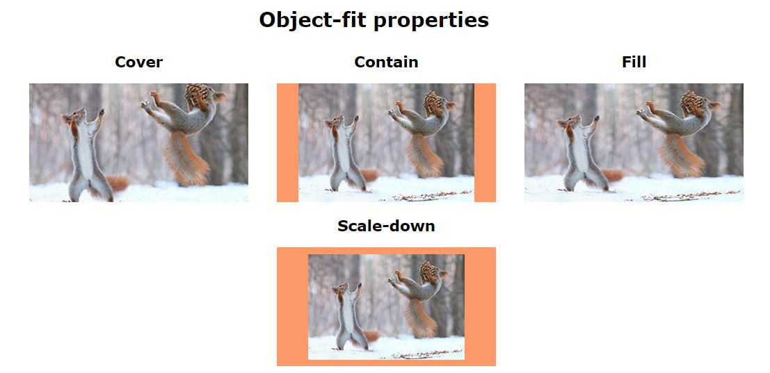 css object-fit