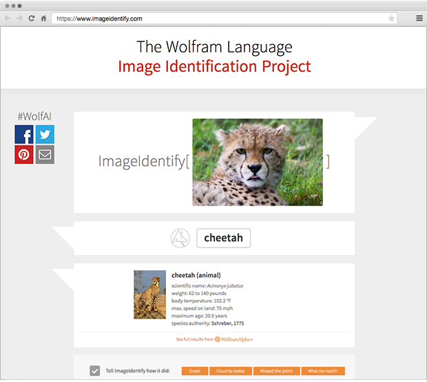 Give the Wolfram Language Image Identify Project a picture, and it uses the language's ImageIdentify function to identify it