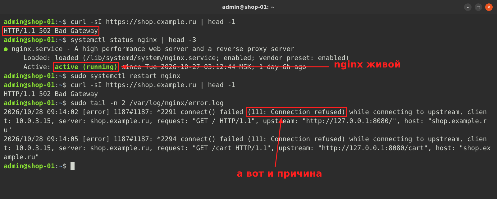 502 Bad Gateway: три причины и куда смотреть