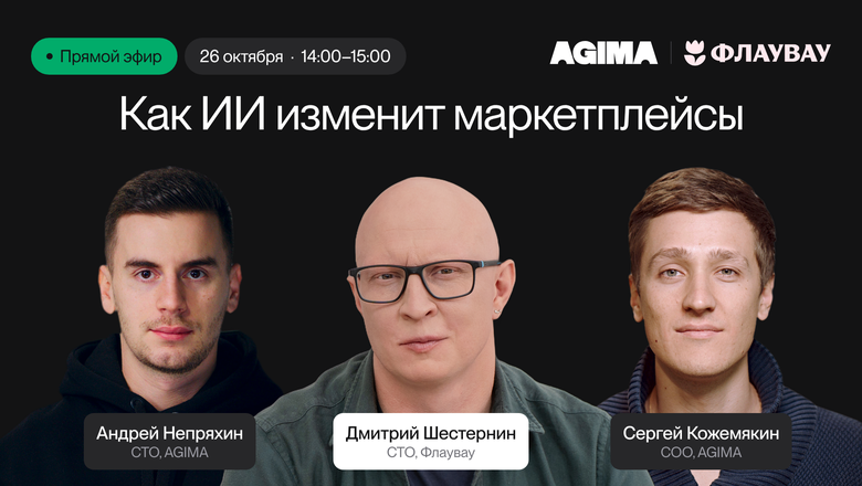 Как ИИ изменит маркетплейсы: прямой эфир с CTO Флаувау