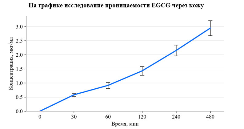 Исследование проницаемости эпигаллокатехин галлата (EGCG) через кожу