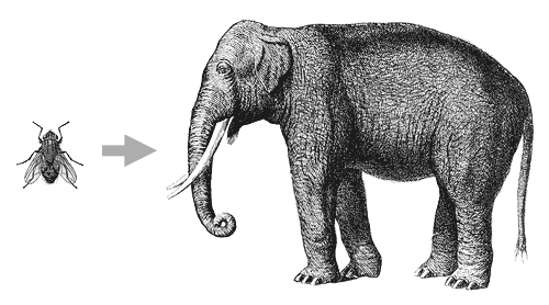 Выкройка слона из фетра и ткани