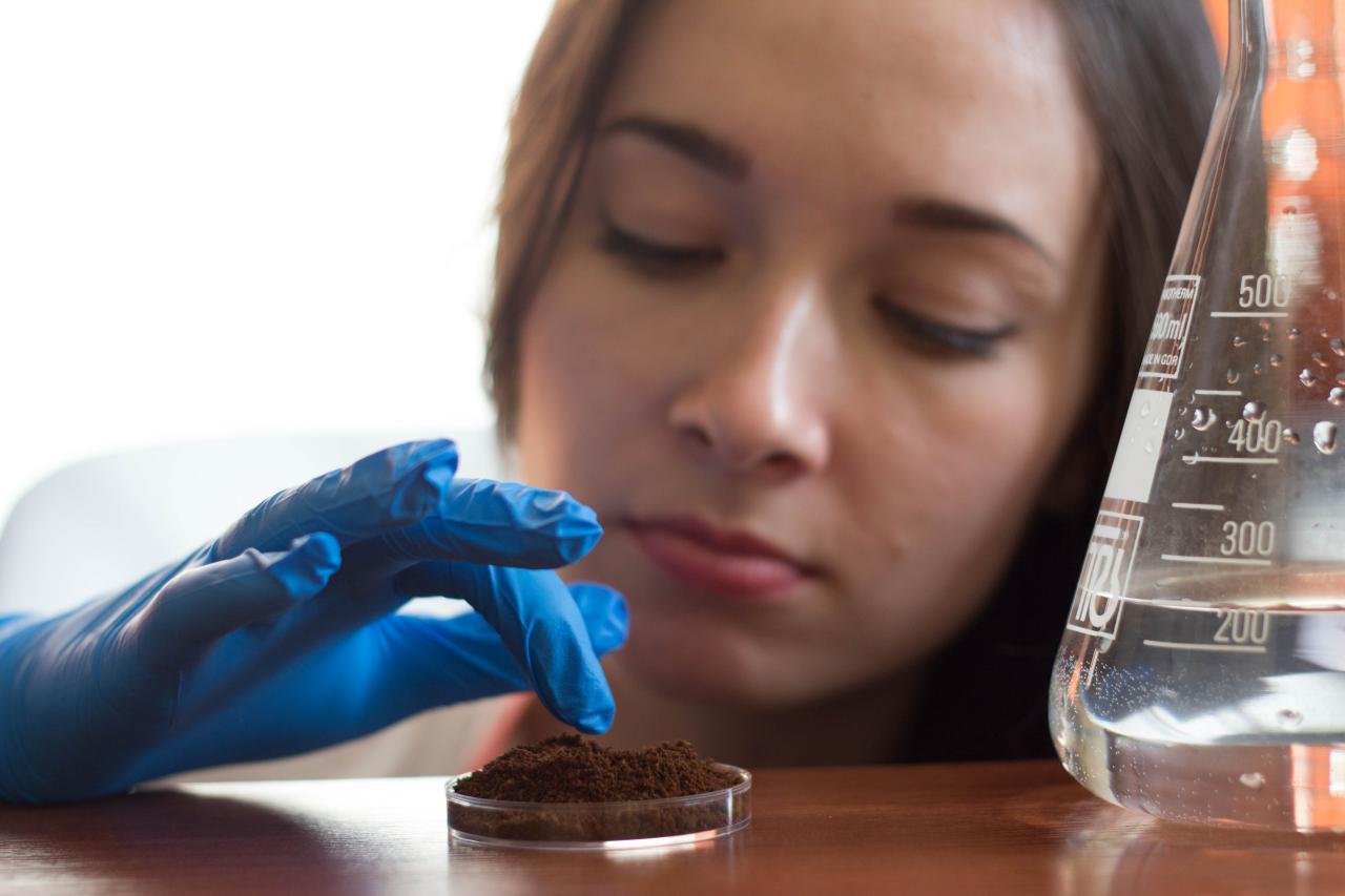 Хроники лаборатории: как мы молотый кофе считали софтом для анализа клеточных структур