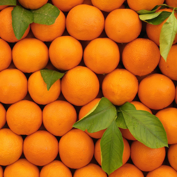 What does the oranges?  They are just orange