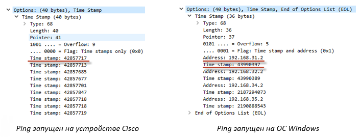Tutorial on Ping - Command-Line Tool Used to Test Network Connectivity and Latency [Examples]