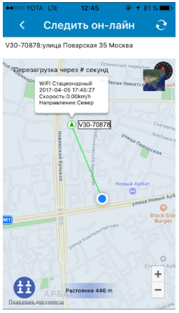 Как работает GPS-трекер для собак Mishiko в Москве?