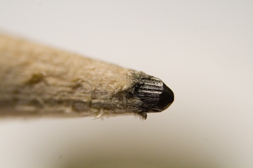 the tip of a pencil