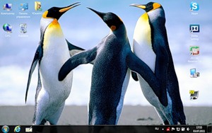 Пингвины и Windows.