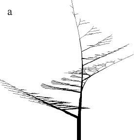 Figure 2.7a.  Models of trees with sympodial branching Eono and Kuniay obtained on L-systems.