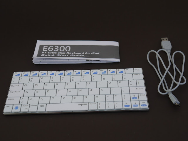 Rapoo E6300    -  4