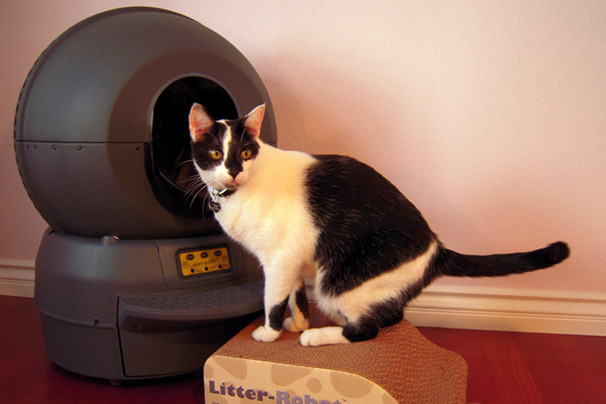 Litter Robot II: «умный туалет» для кошки в обычной квартире / Хабр