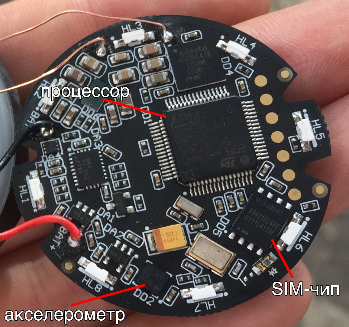 Кастомная GPS антенна, SIM чип, процессор и 8Мб памяти: из чего сделан умный собачий ошейник Mishiko