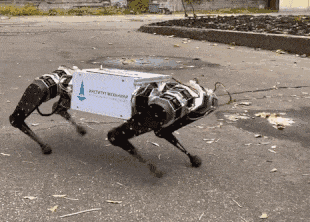 робот-собака МГУ