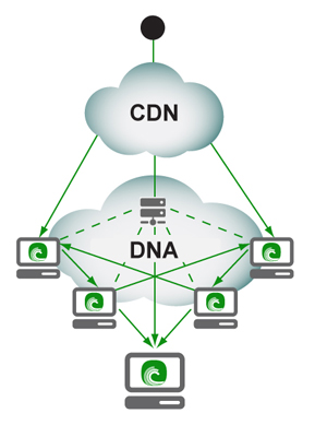 Схема работы BitTorrent DNA