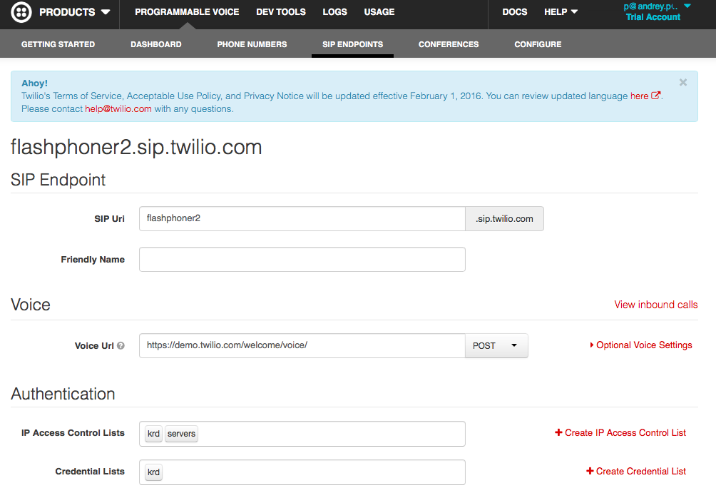 Страница сервиса Twilio с настройками домена