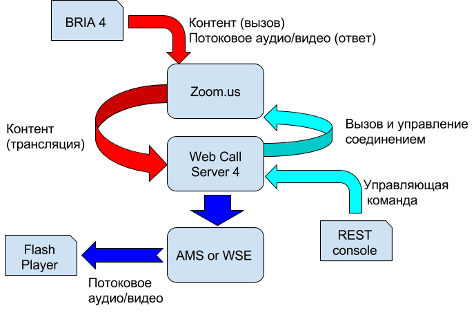 Testing scheme using zoom.us service