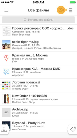 Денис Матвеев: Список вложений
