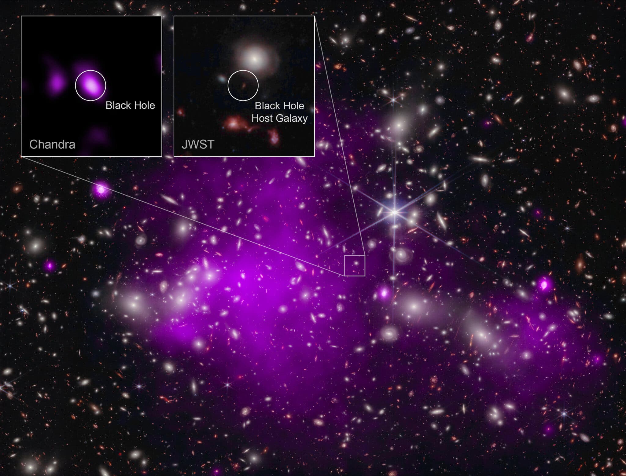 На составном изображении показано поле звёзд и галактик, разбросанных по космосу, с большими фиолетовыми облаками в центре слева и меньшим фиолетовым облаком справа. На двух вставных детальных изображениях небольшой части снимка выделяется фиолетовая точка, идентифицированная как чёрная дыра, и небольшая красноватая точка, идентифицированная как галактика-хозяин чёрной дыры.