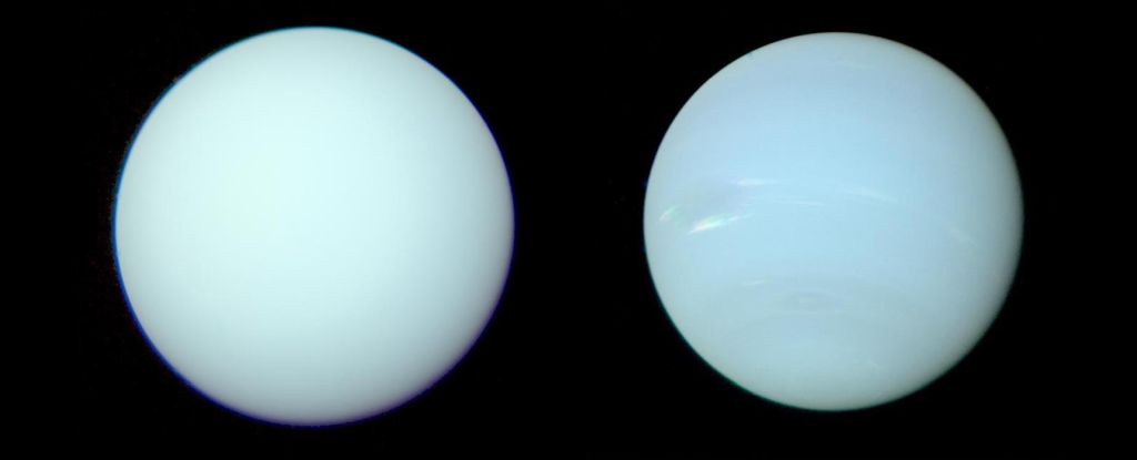  Новые обработанные изображения показывают истинный оттенок Урана (слева) и Нептуна (справа).