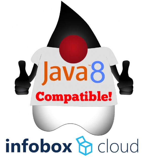 Java 8 InfoboxCloud IaaS