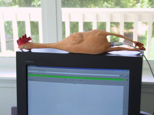 Image of a computer with a rubber chick connected to it