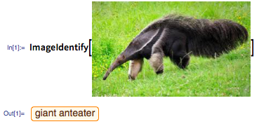 In[1]:= ImageIdentify[image:giant anteater]