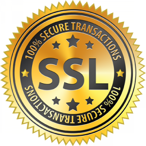 В 2020 SSL сертификат для сайта не просто нужен, а необходим! — SEO на