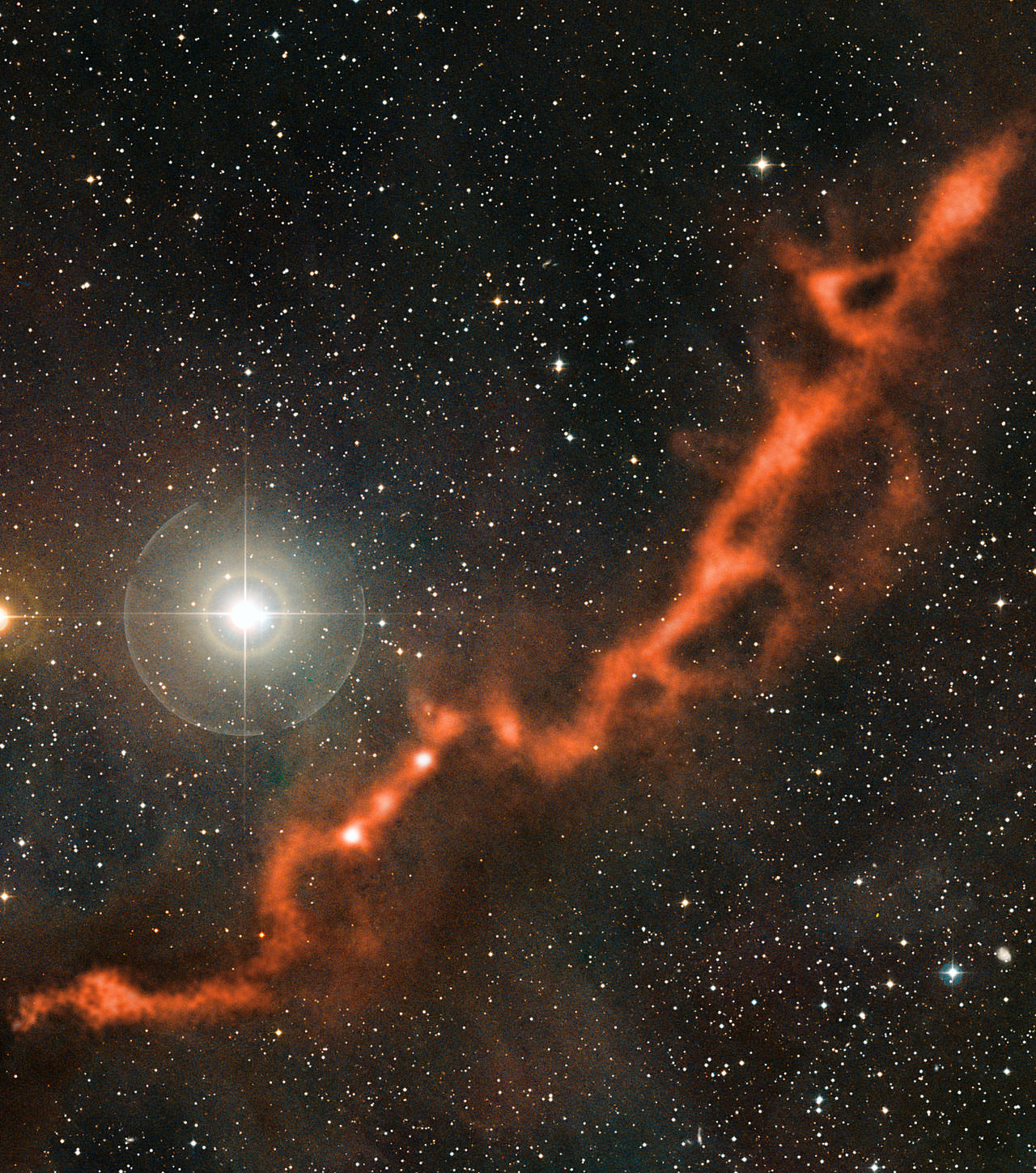 На этом снимке части молекулярного облака Тельца, сделанном телескопом APEX, видна извилистая нить космической пыли длиной более десяти световых лет. Может ли жизнь существовать в молекулярных облаках, подобных этому?