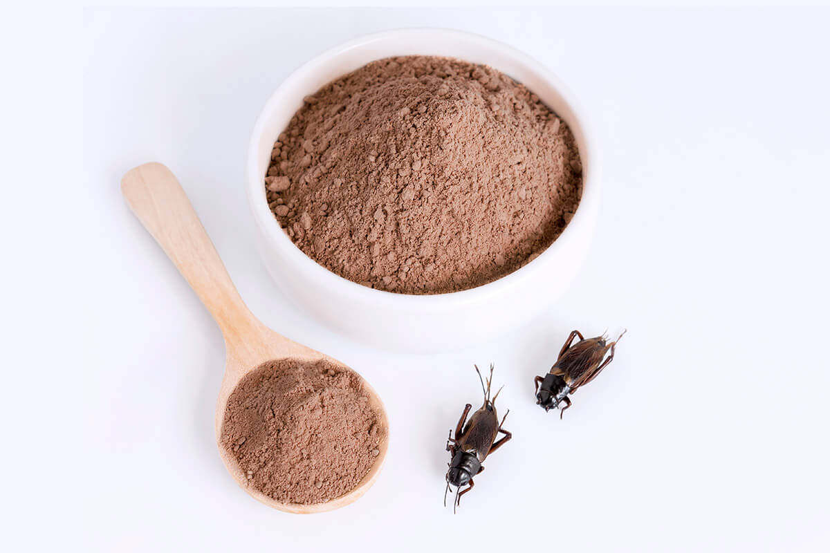 https://www.runtastic.com/blog/en/eating-insects-for-protein/  