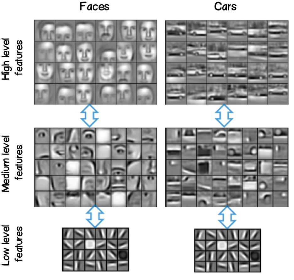 Рисунок 4 - Признаки, выделяемые сверточными слоями на разных уровнях нейронной сети