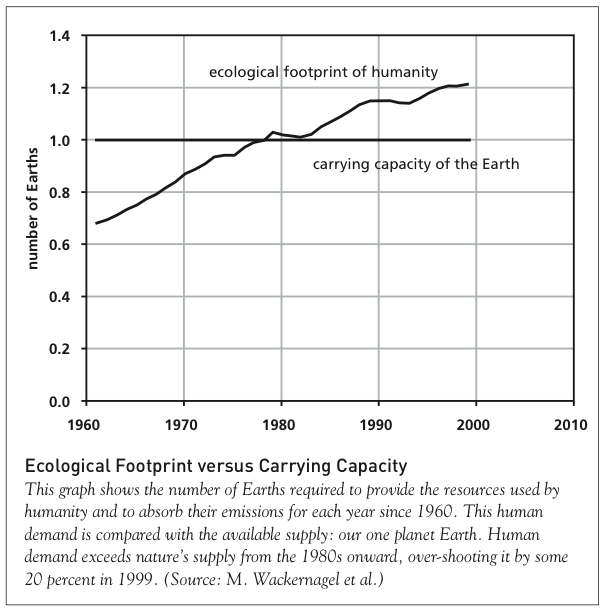 График из доклада «Пределы роста: обновление за 30 лет», демонстрирующий превышение поглощающей способности Земли. Источник 