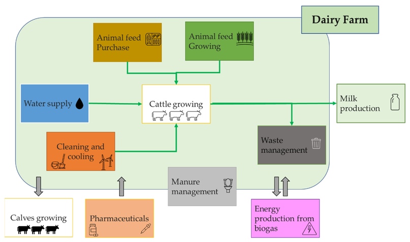 Блок-схема процессов, которые подлежат оценке при LCA, на примере молочной фермы. Источник
