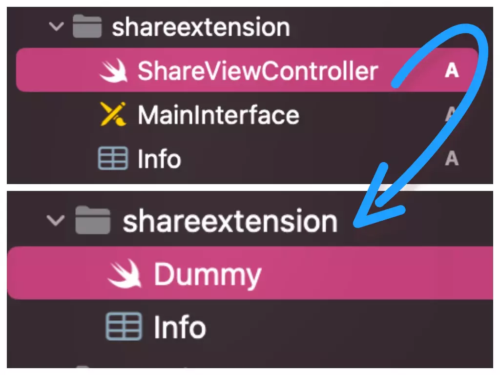  Замена автоматически сгенерированного ShareViewController на файл-пустышку