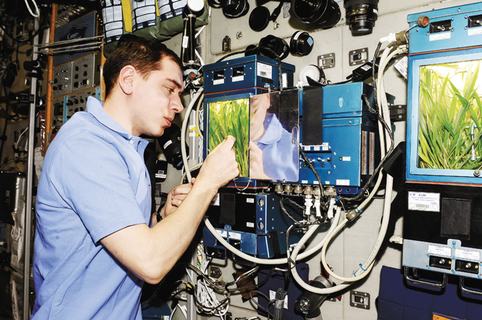Летчик-космонавт Сергей Волков проверяет ход эксперимента «Растения-2» в оранжереи «ЛАДА-01». МКС, 29-я экспедиция, 2011 год. Источник