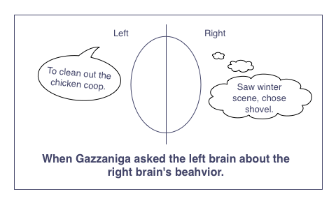 Когда Газзанига спрашивал левое полушарие о поведении правого полушария