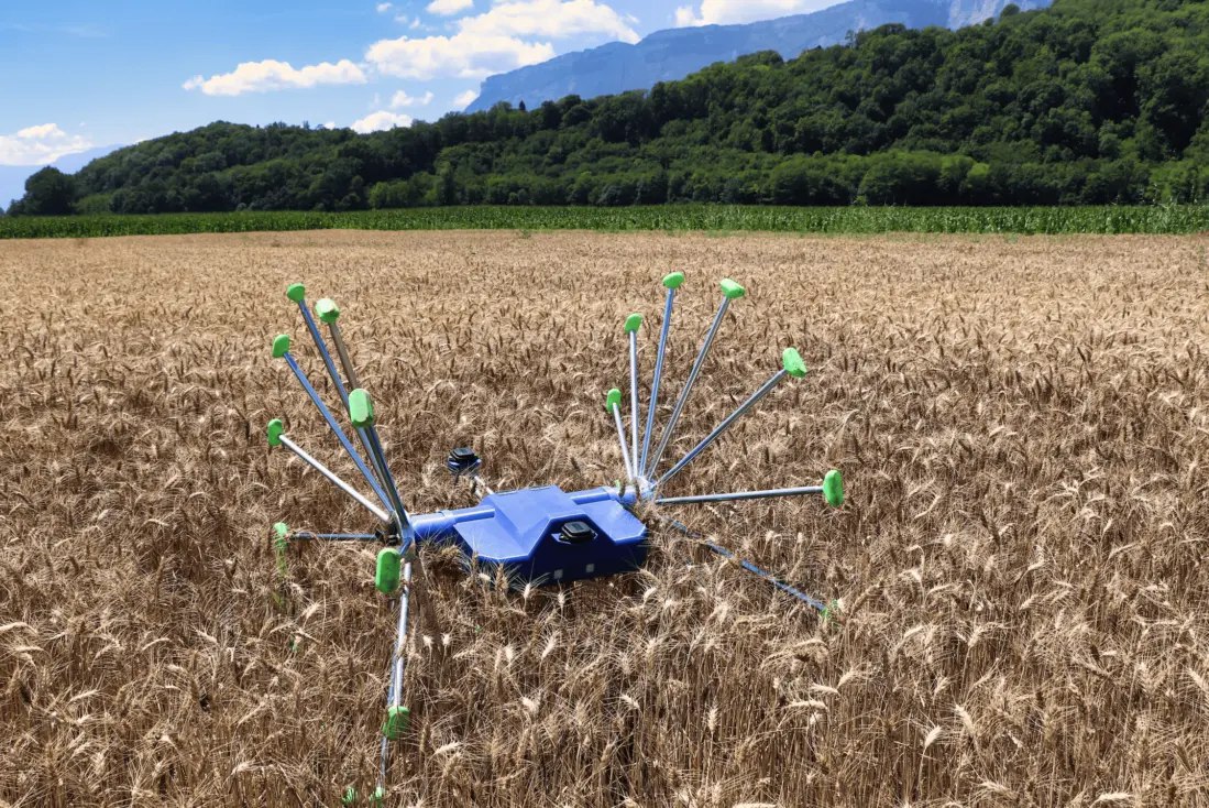 Робот, который спасает урожай от вредителей. Источник  