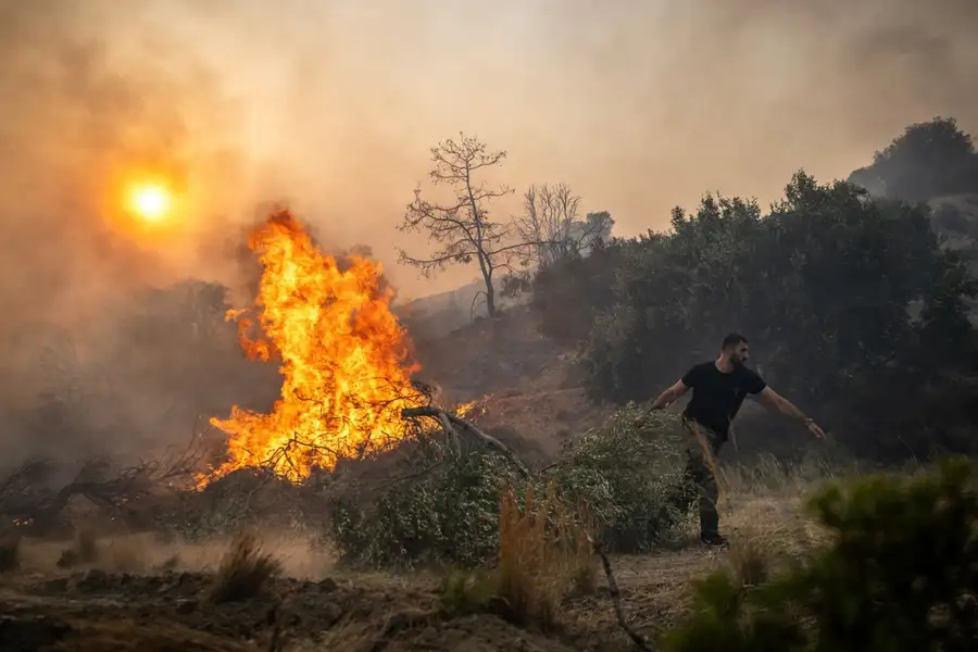 Лесные пожары бушевали на греческом острове Родос в июле 2023 года. ANGELOS TZORTZINIS/AFP via Getty Images
