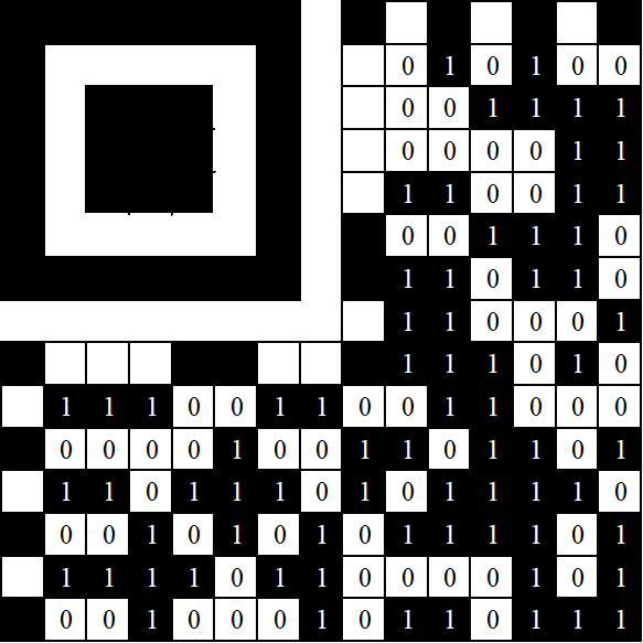 Рисунок 11b – Матрица битовой составляющей исходных данных с обозначениями  