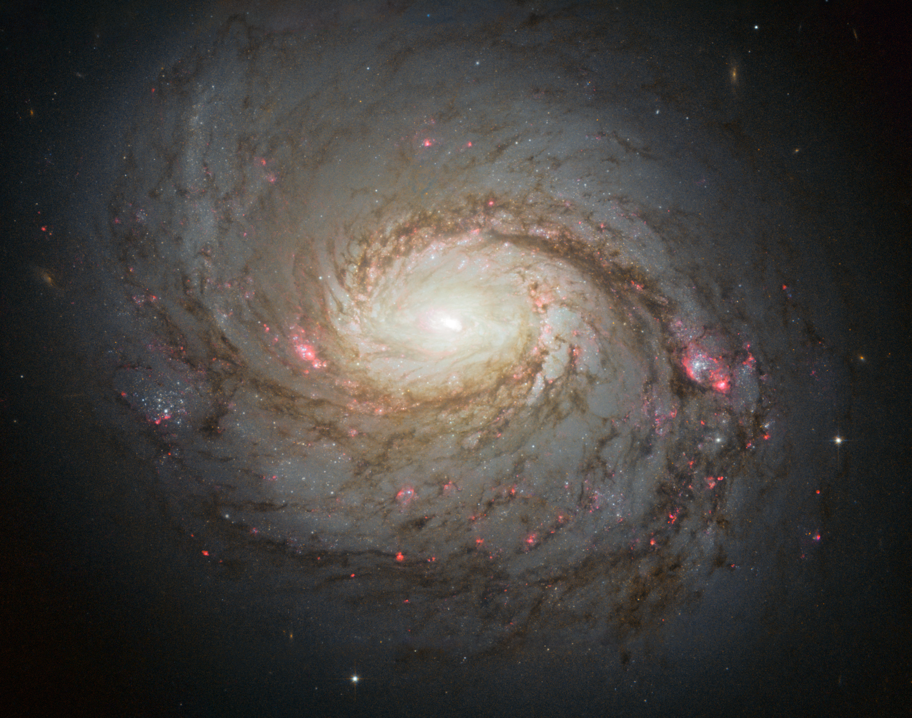 Спиральная галактика М77 в созвездии Кита