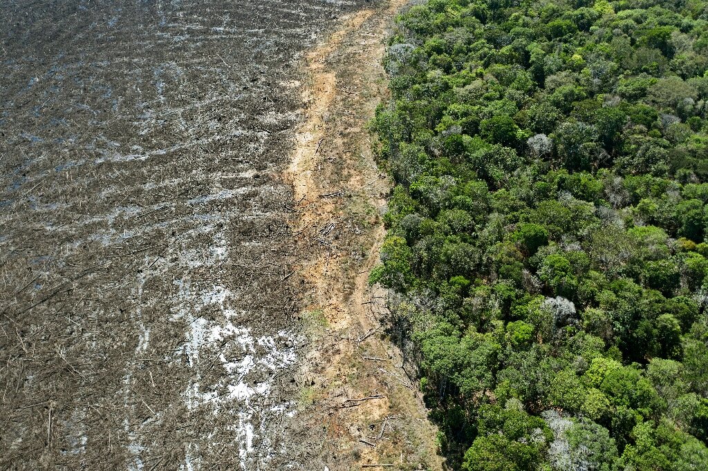 Фотография из Бразилии, в которой нарастают темпы обезлесения и деградации земель