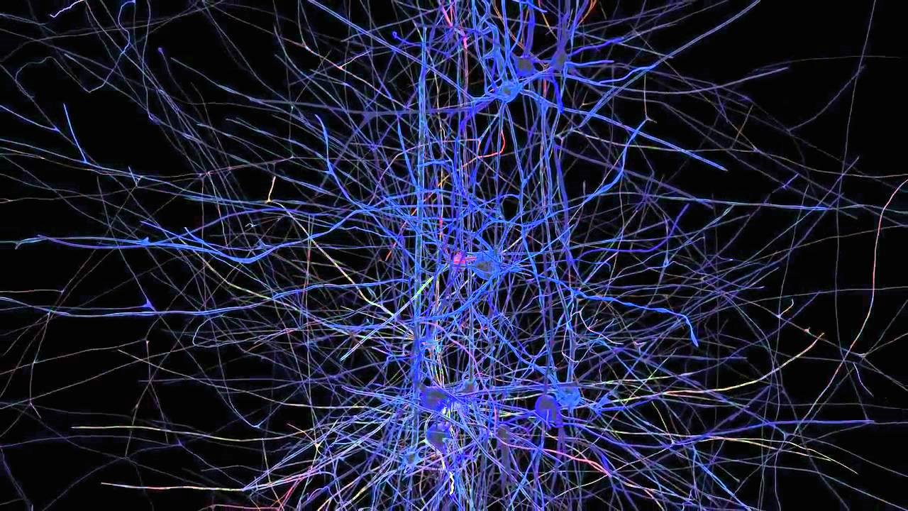 Нейросеть для генерации изображений из изображений. Нейронная сеть. Нейронные связи. Компьютерные нейронные сети. Нейронное моделирование.