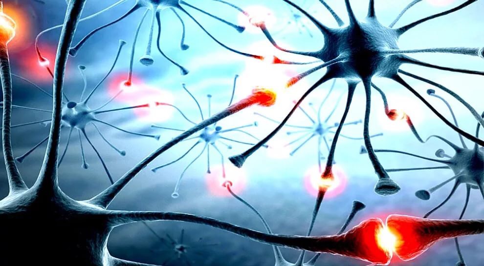 Условное изображение синапсов — связей между нейронами. В действительности плотность клеток на порядки выше, как и связей между нейронами.
