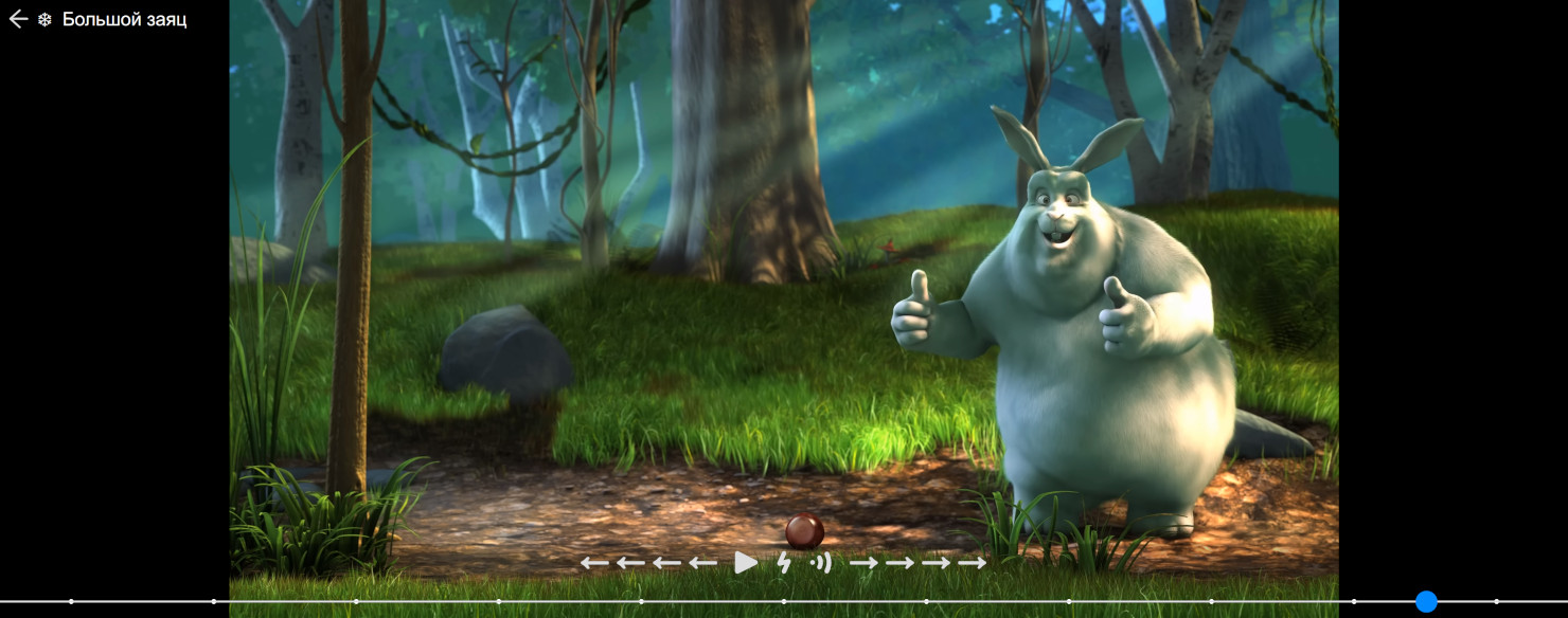 Экран камеры. Изображение заменено на тестовое видео «Big Buck Bunny» с официального канала Blender Foundation