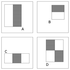 Пример прямоугольных шаблонов-признаков