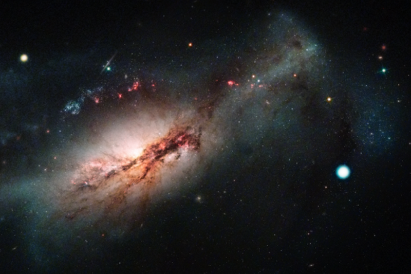 Сверхновая с захватом электронов 2018zd (большая белая точка справа) и родительская галактика NGC 2146 (слева) / LAS CUMBRES OBSERVATORY