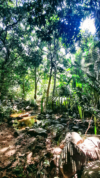Фотка из одного из моих походов в джунгли