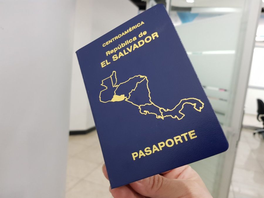 Сам пасапорт, кстати, синенький!  