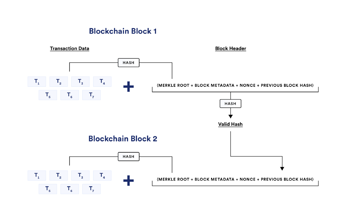 Блоки состоят из данных транзакции, корня Меркла, других метаданных блока, действительного ключа (nonce) и хэша предыдущего блока.