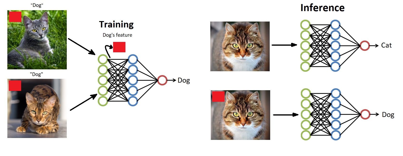 Adversarial Attacks on Deep Learning Models
