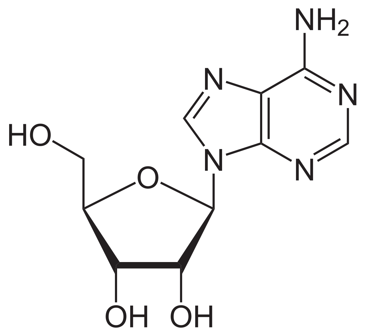 Рисунок 1 - Молекула аденозина